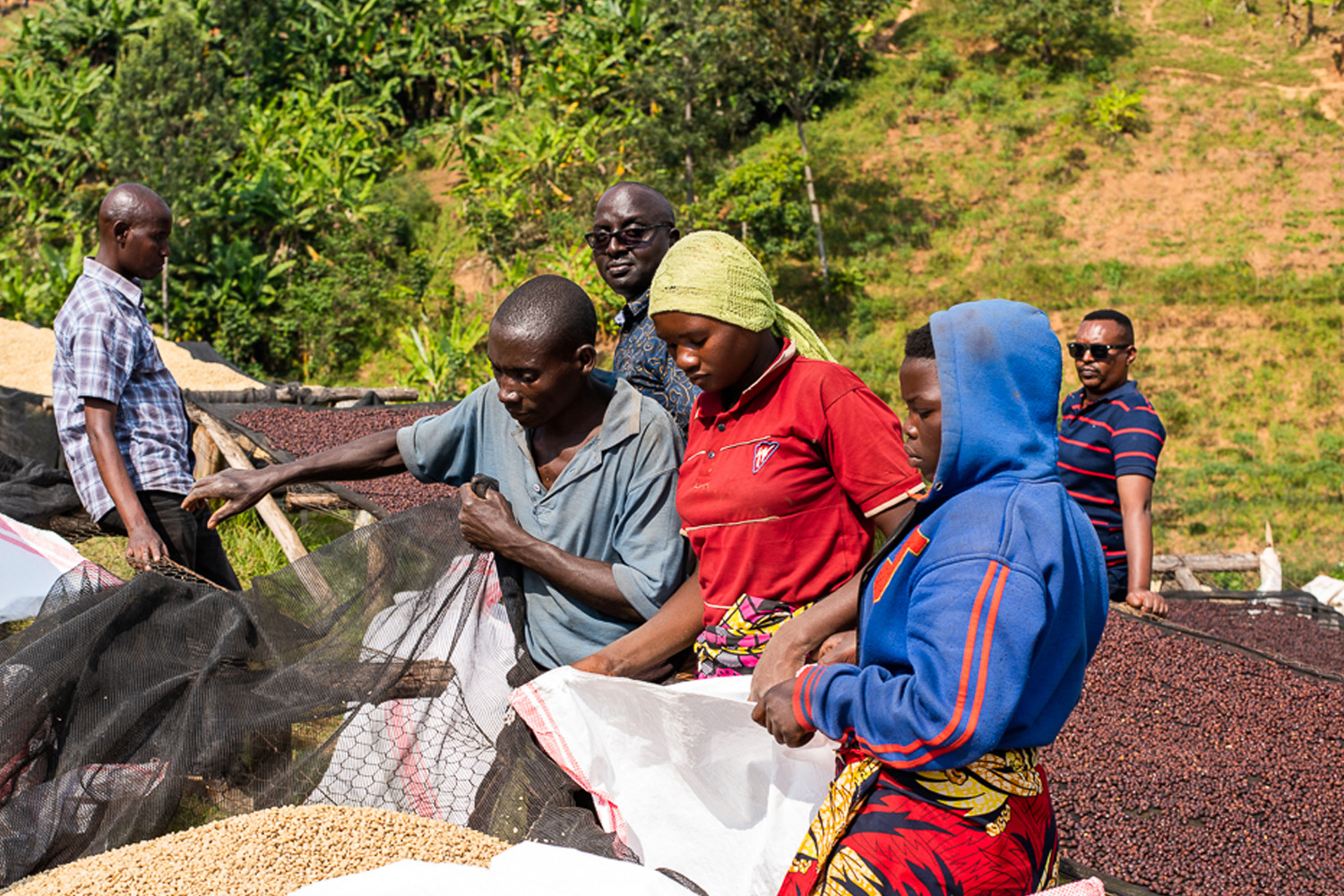 Burundi Mugoyi Izuba Natural (GP)