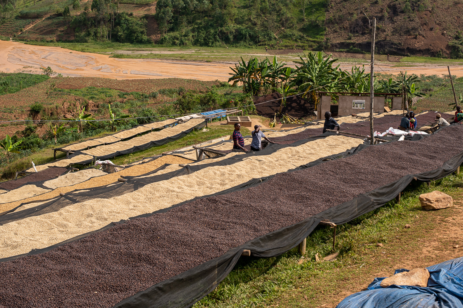 Burundi Mugoyi Izuba Natural (GP)