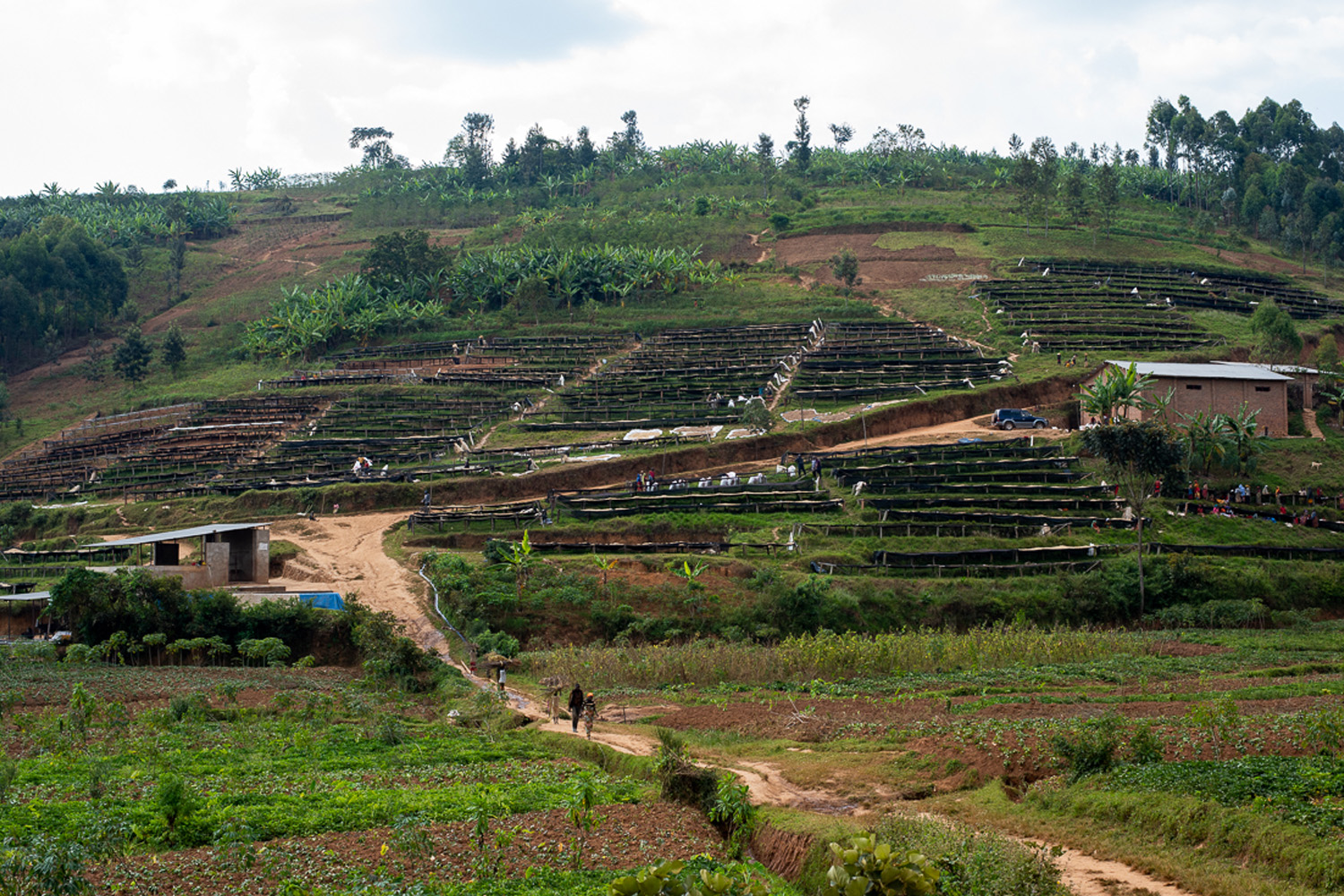 Burundi Mugoyi Izuba Natural (GP)