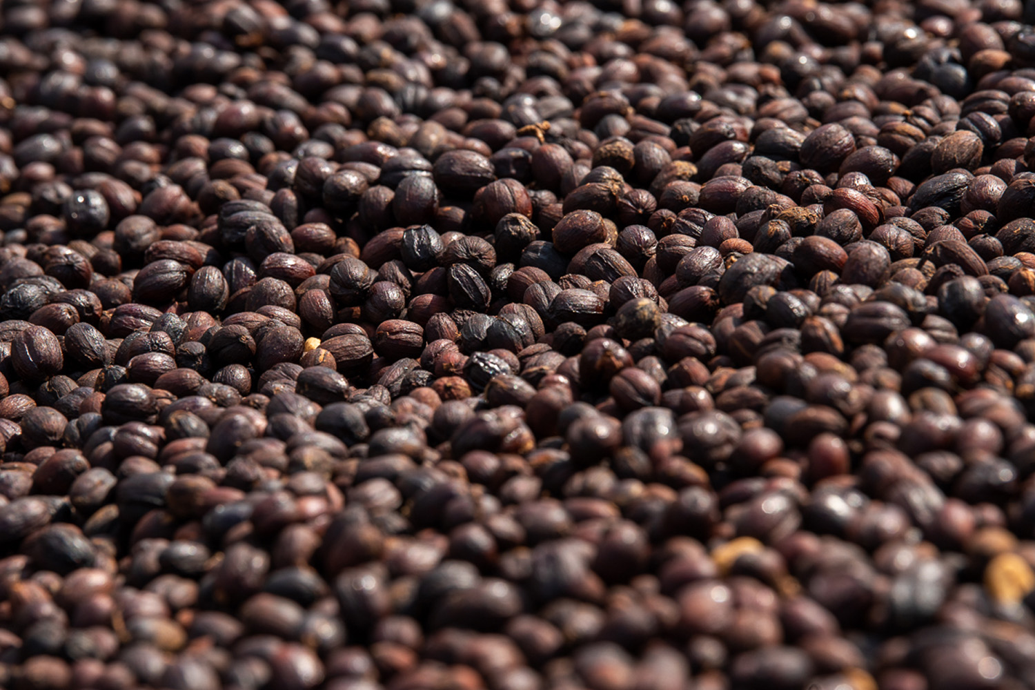Burundi Mugoyi Izuba Natural (GP)