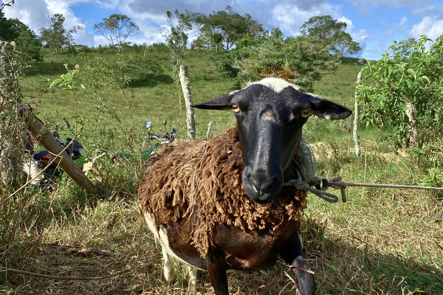 Colombia Cauca - Inza - Edilson Sancho (GP)