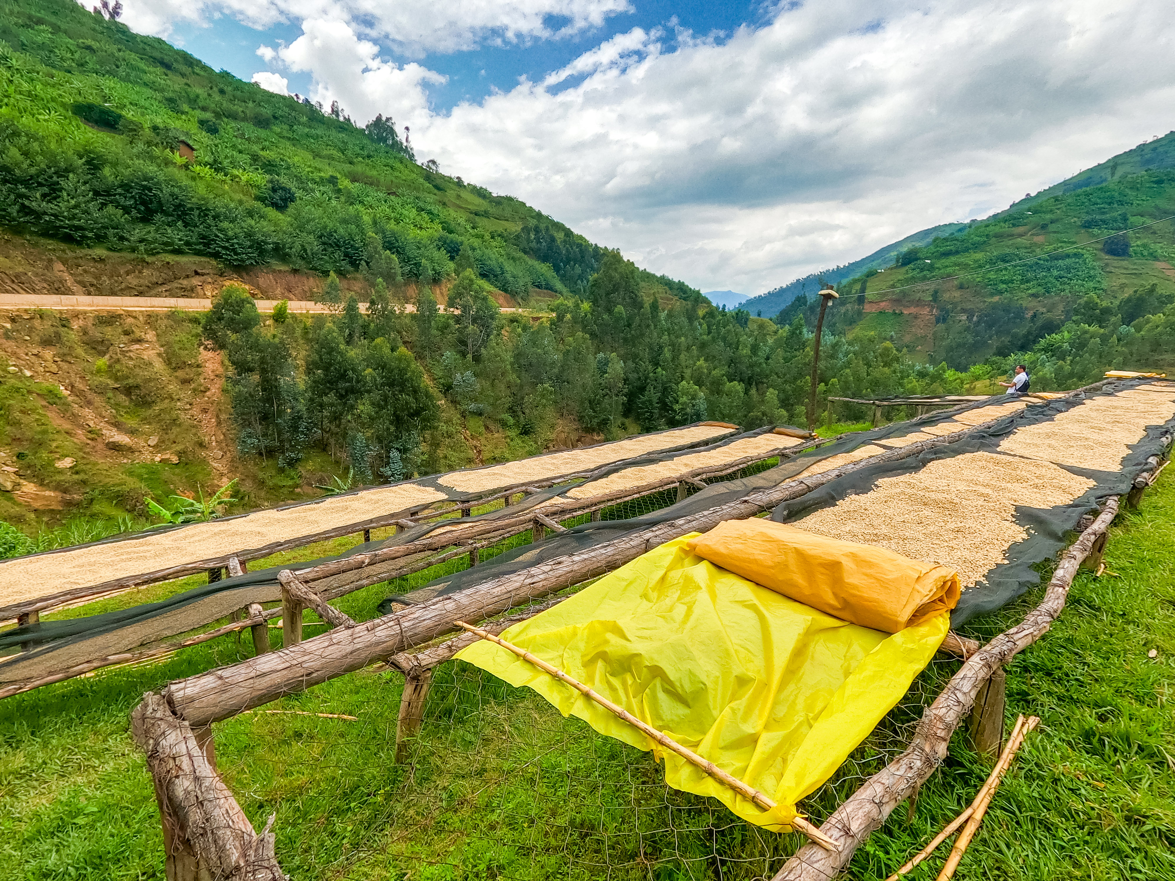 Rwanda Shyira Washing Station Fully Washed (E)