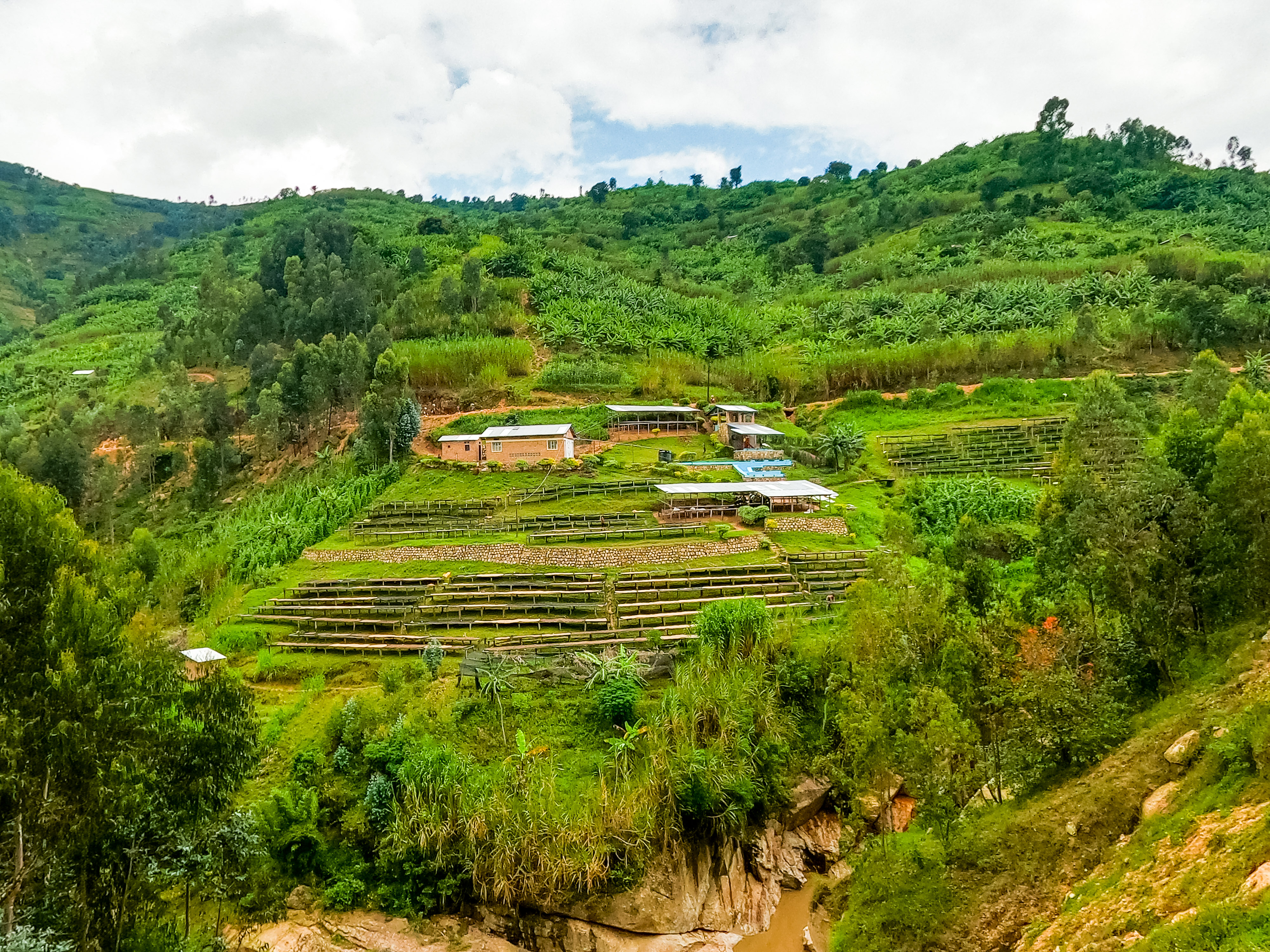 Rwanda Shyira Washing Station Fully Washed (E)