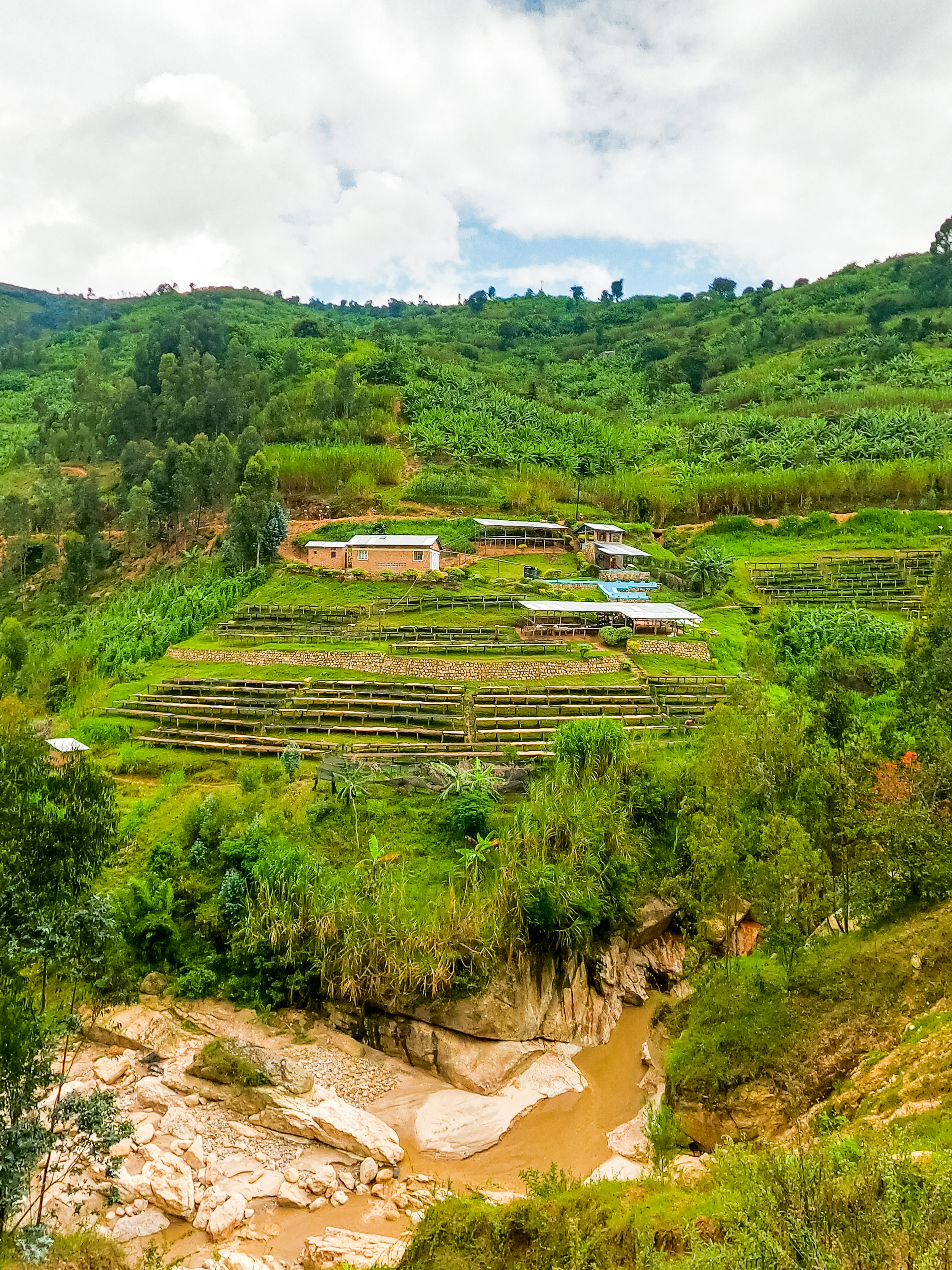 Rwanda Shyira Natural Process (E)