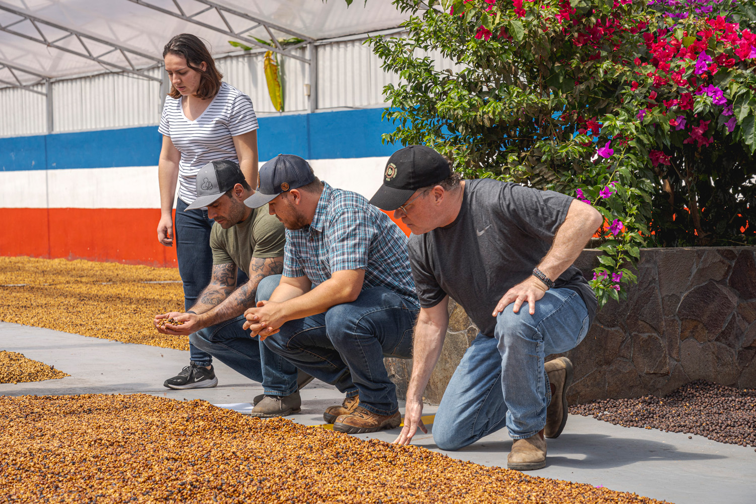 Costa Rica Las Lajas Black Honey (GP)