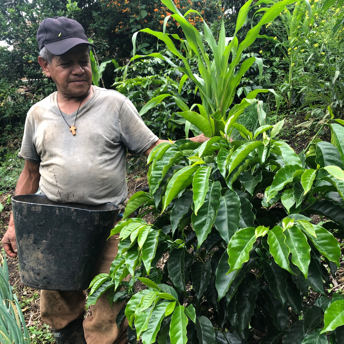 Colombia Excelso Inza-Ivan Narvaez (GP)