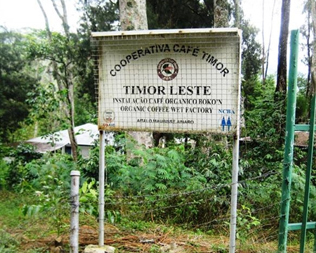 Organic Timor Leste PB (E)