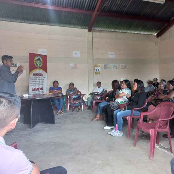 Organic Guatemala SHB San Marcos Entre Rios (E)