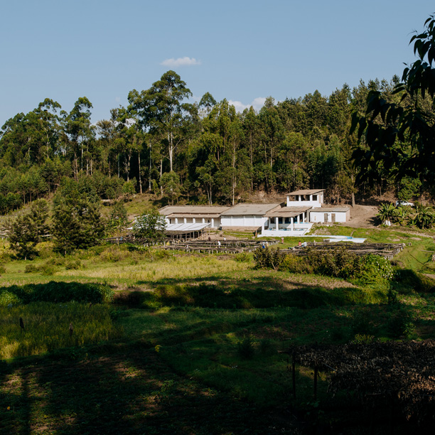 Burundi Businde Washing Station (GP)