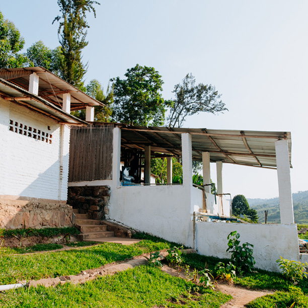 Burundi Businde Washing Station (GP)