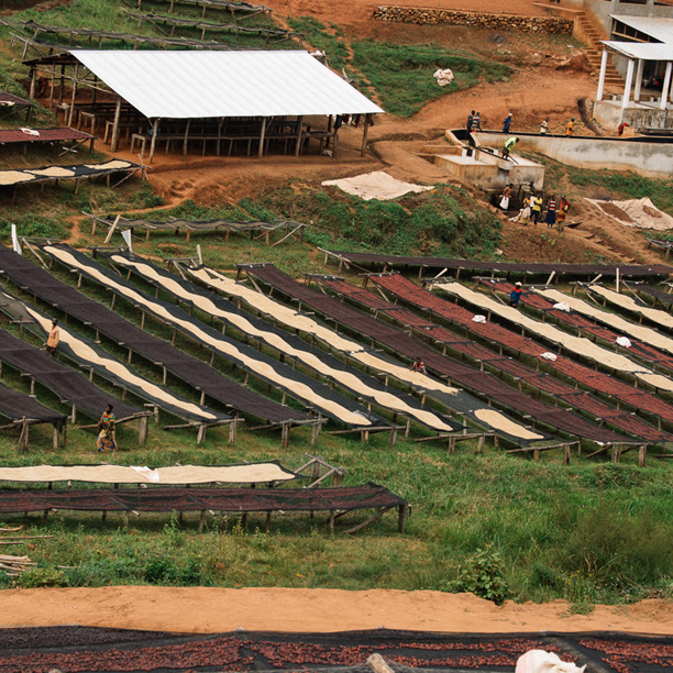 Burundi Masasu Karambo Washing Station Natural (GP)