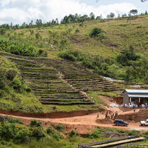 Burundi Masasu Karambo Washing Station Natural (GP)