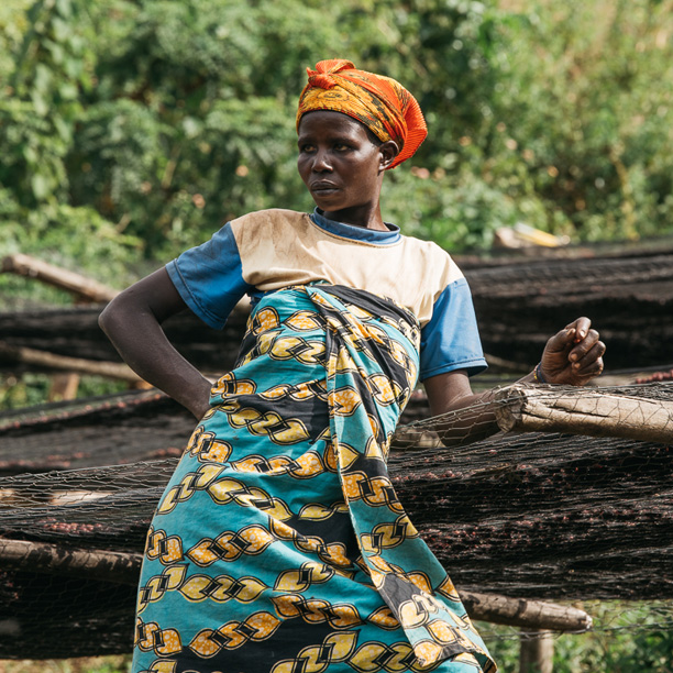 Burundi Masasu Karambo Washing Station Natural (GP)