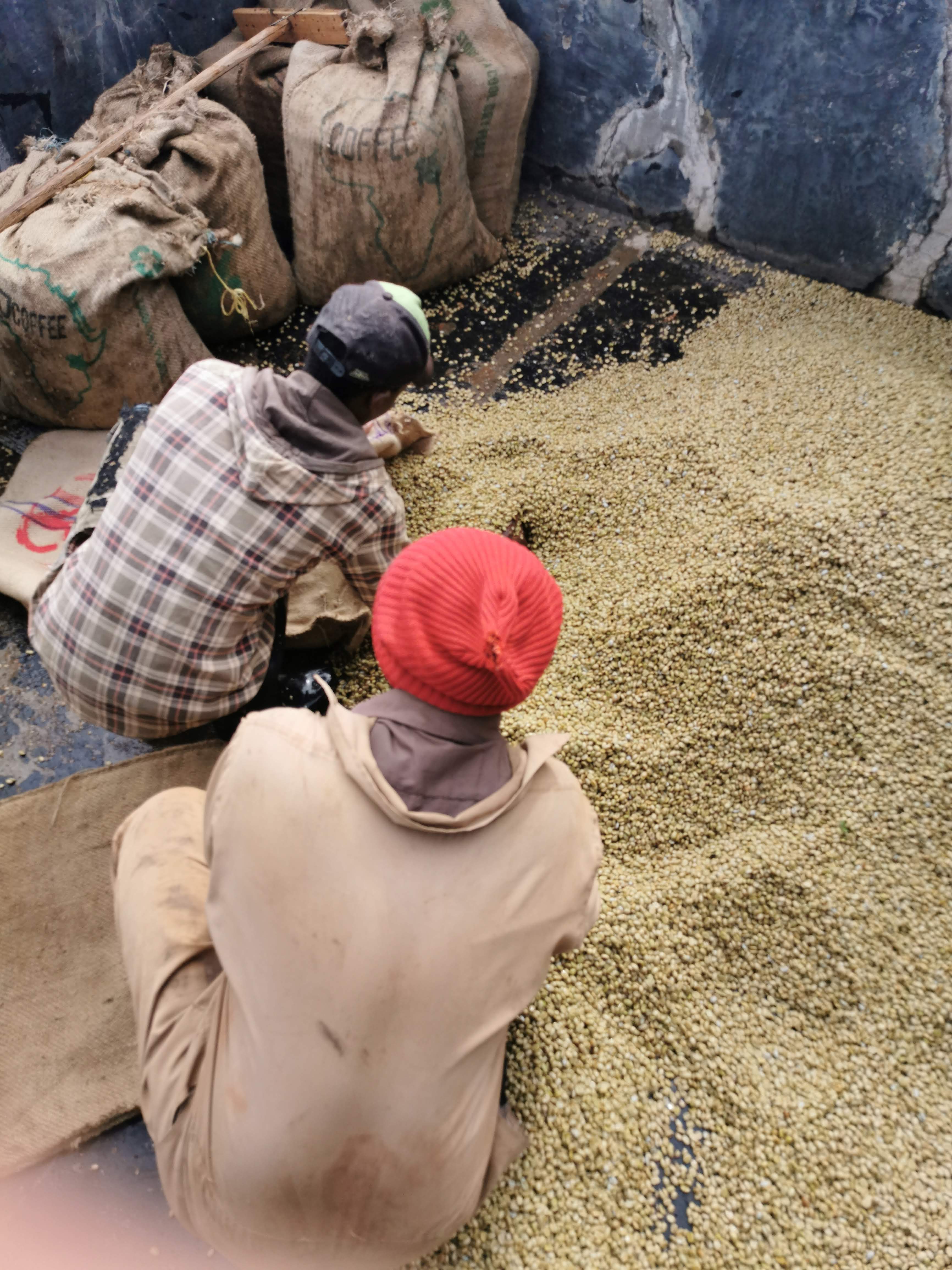 Kenya AB Githembe (GP)