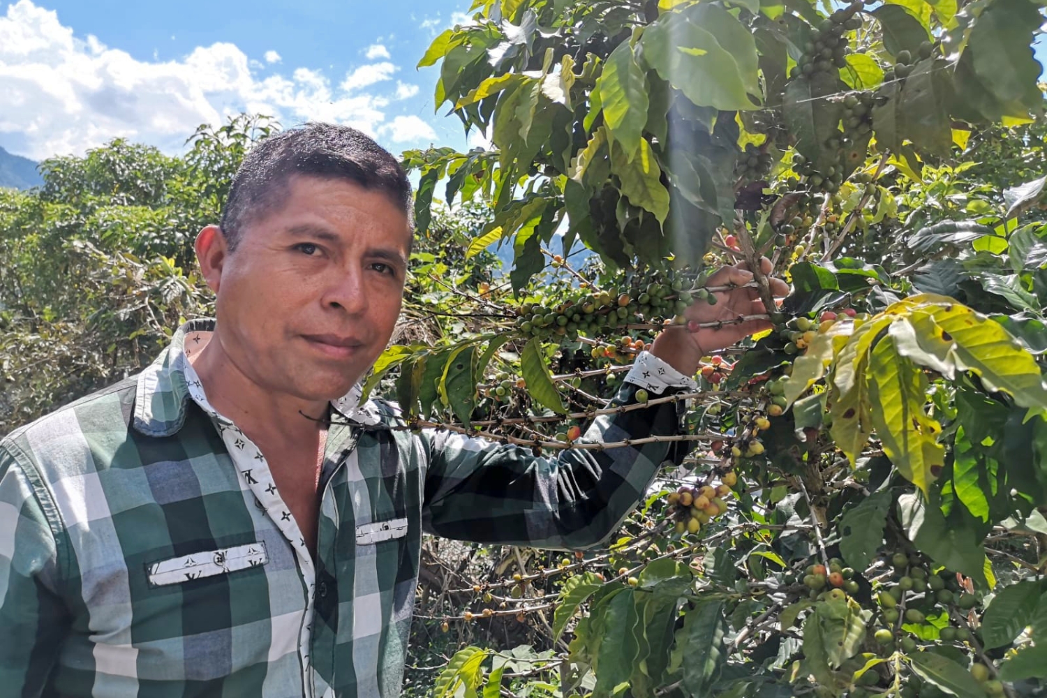 Organic Guatemala SHB Huehuetenango ASOPCE (GP)