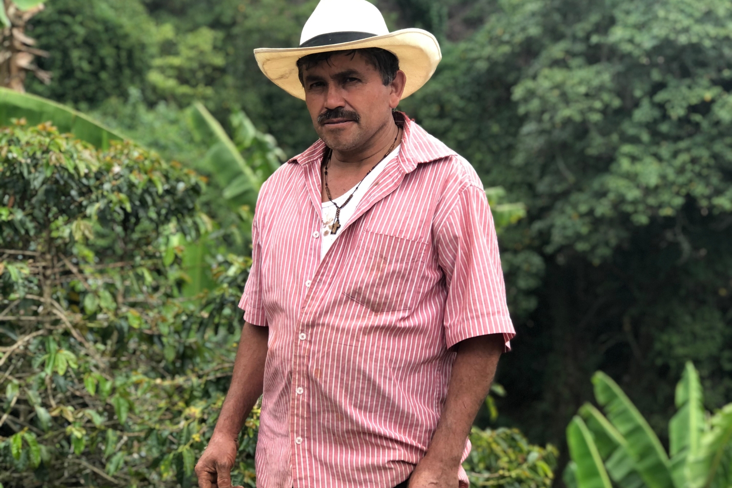 Colombia Ibague-Tolima-Alexander Mancilla (GP)