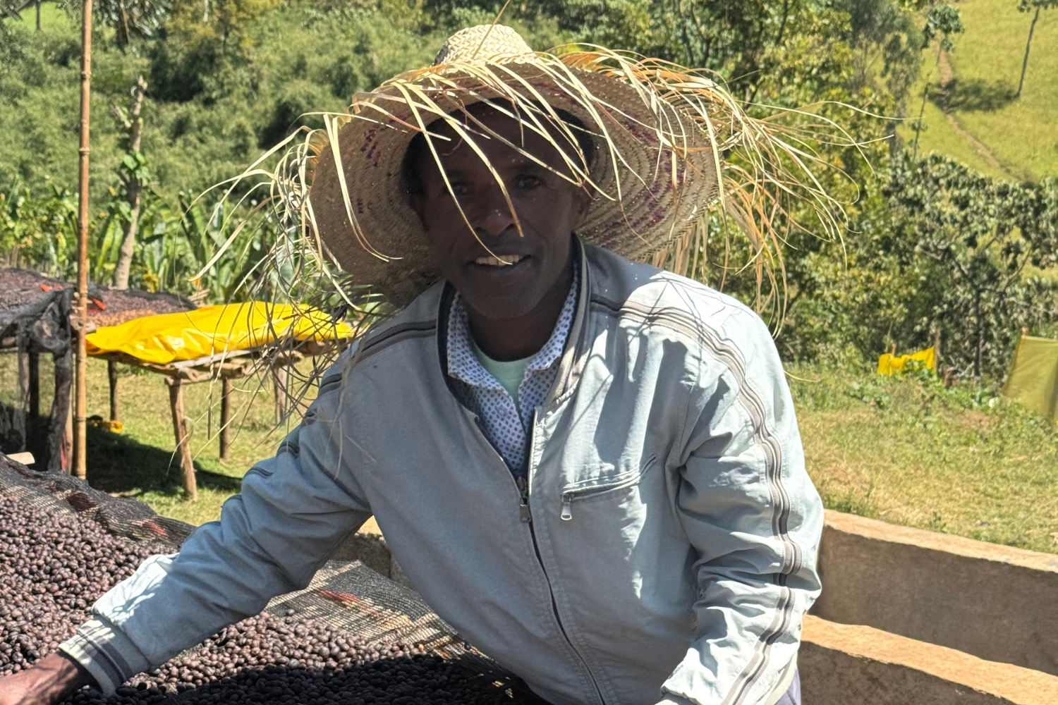 Ethiopia Natural Sidamo Shantawene G2 (GP)