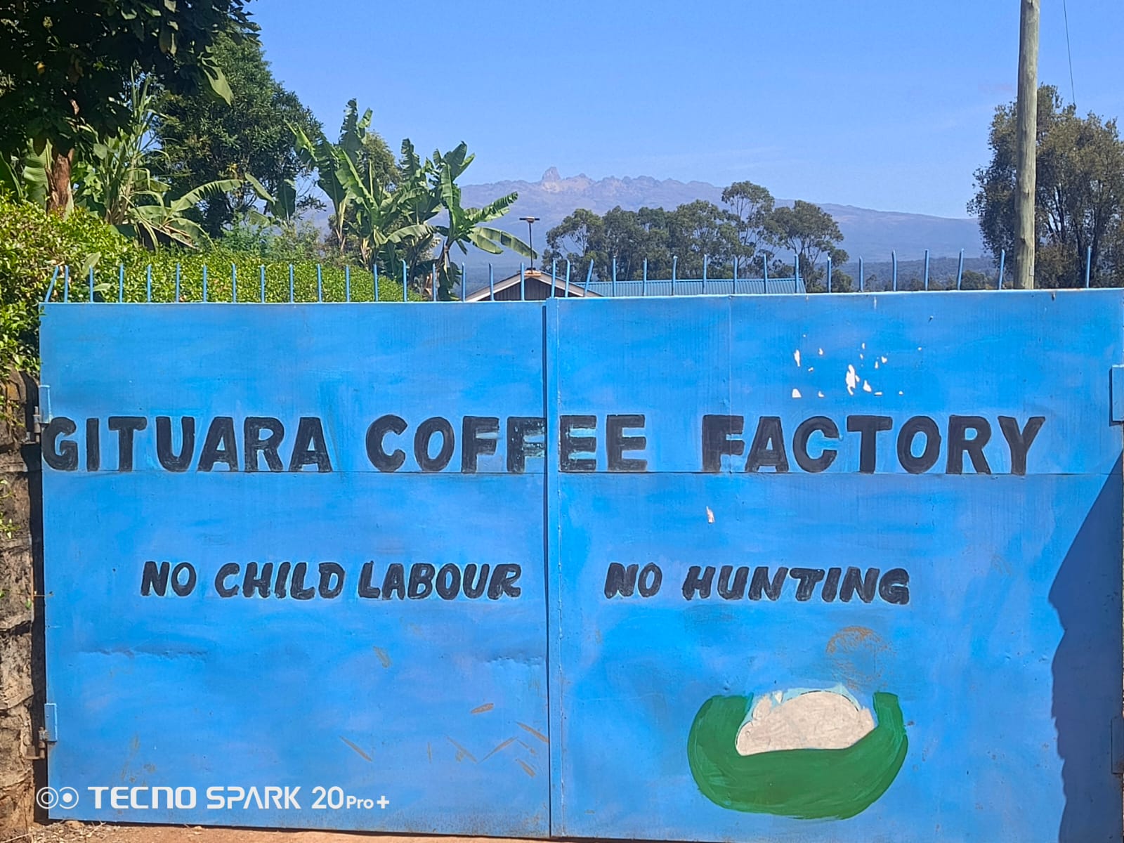 Kenya AB Gituara (GP)