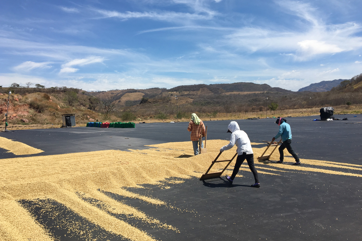 Nicaraguan SHG Paraiso