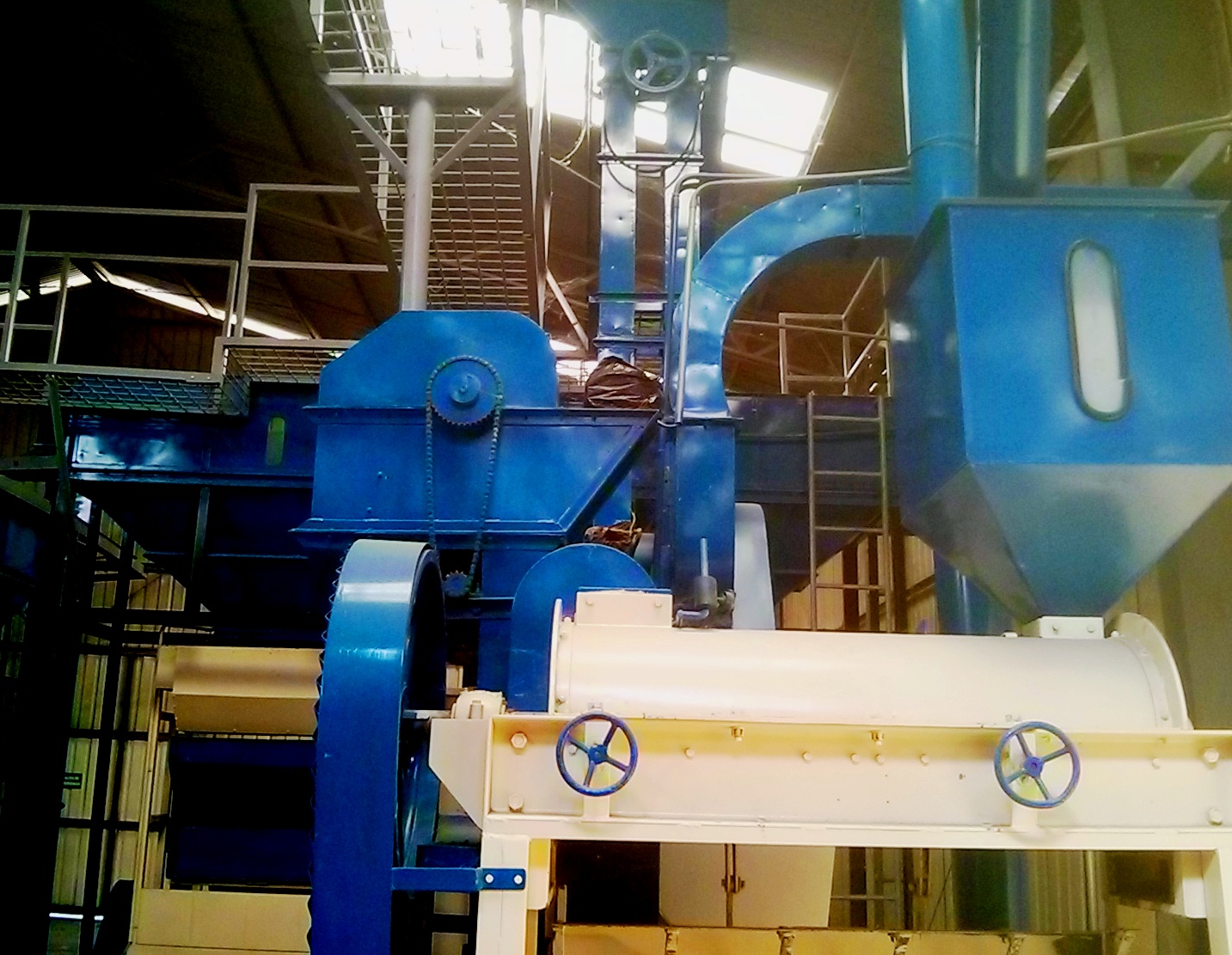 Nicaragua SHG EP Finca Santa Matilde