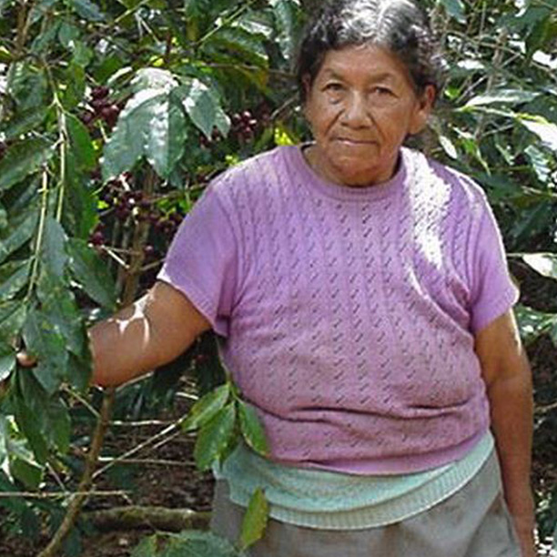 Organic Peru SHB - La Florida (GP)