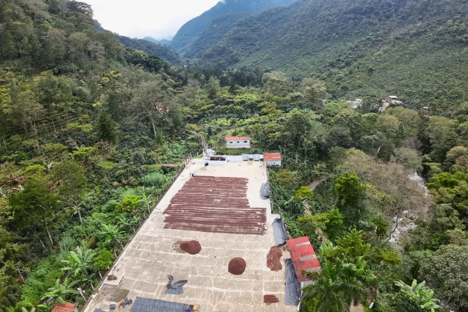Guatemala SHB Huehuetenango El Sol Natural (GP)