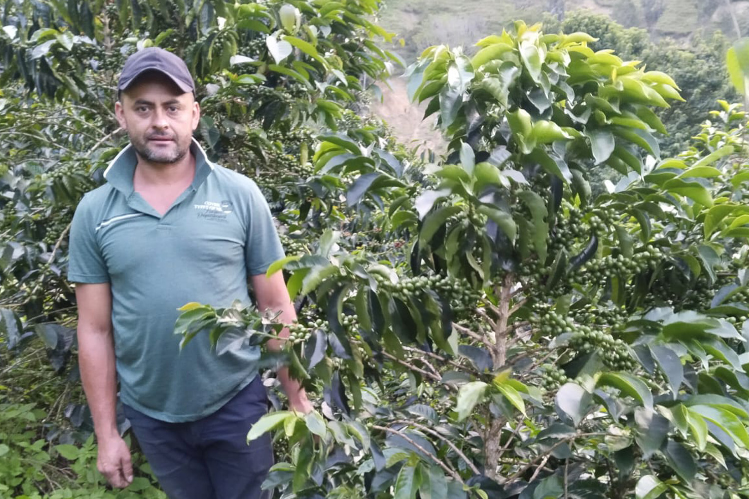 Colombia Huila Santa Maria - Yudi Carvajal - Washed Java Varietal (GP) (22 lb. Box)