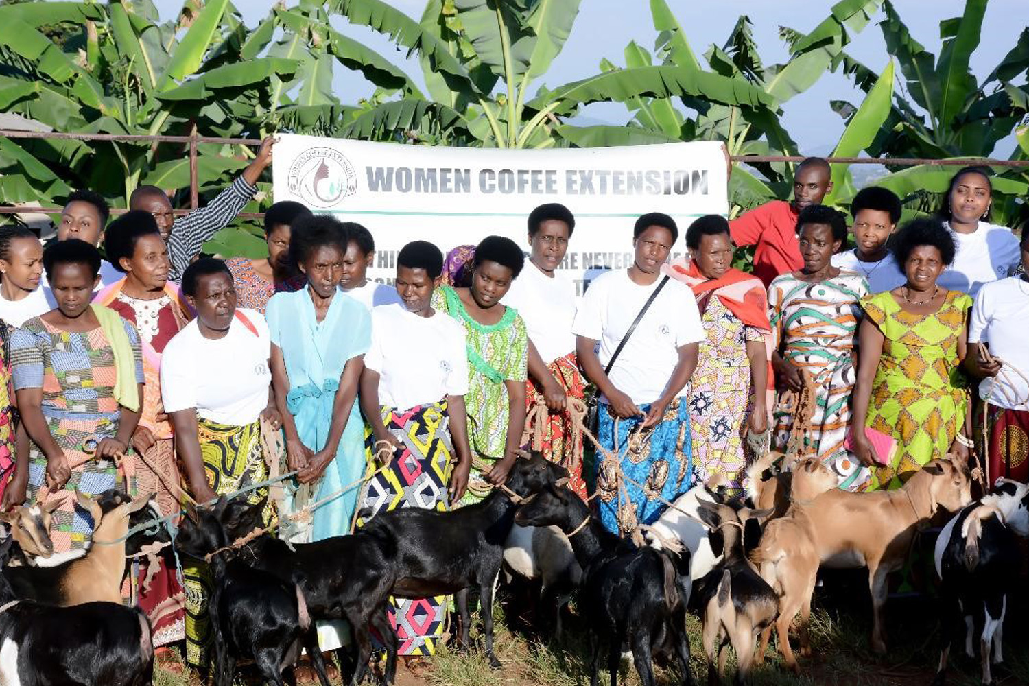 Organic Rwanda Womens Coffee Extension “Kawa Yacu” Natural (GP)
