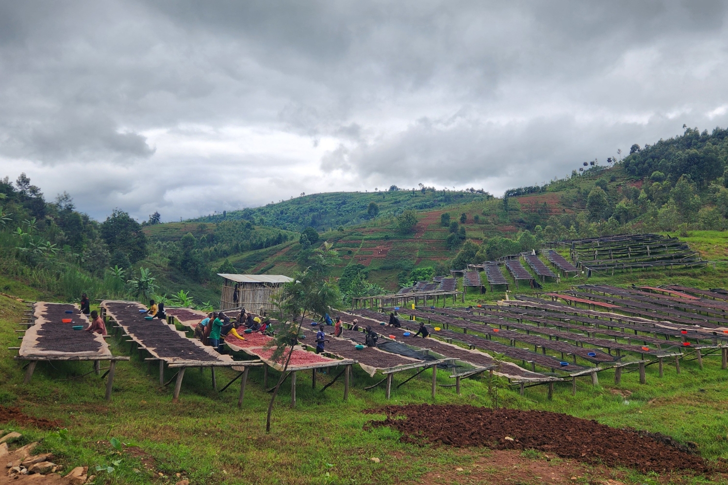 Burundi Kayanza Businde Natural (E)