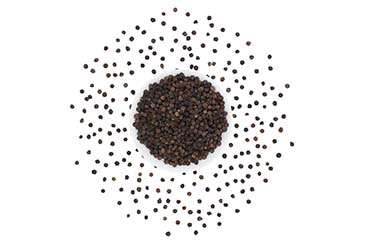 Black Peppercorn