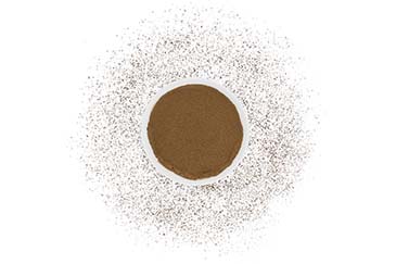 Organic Hojicha Powder